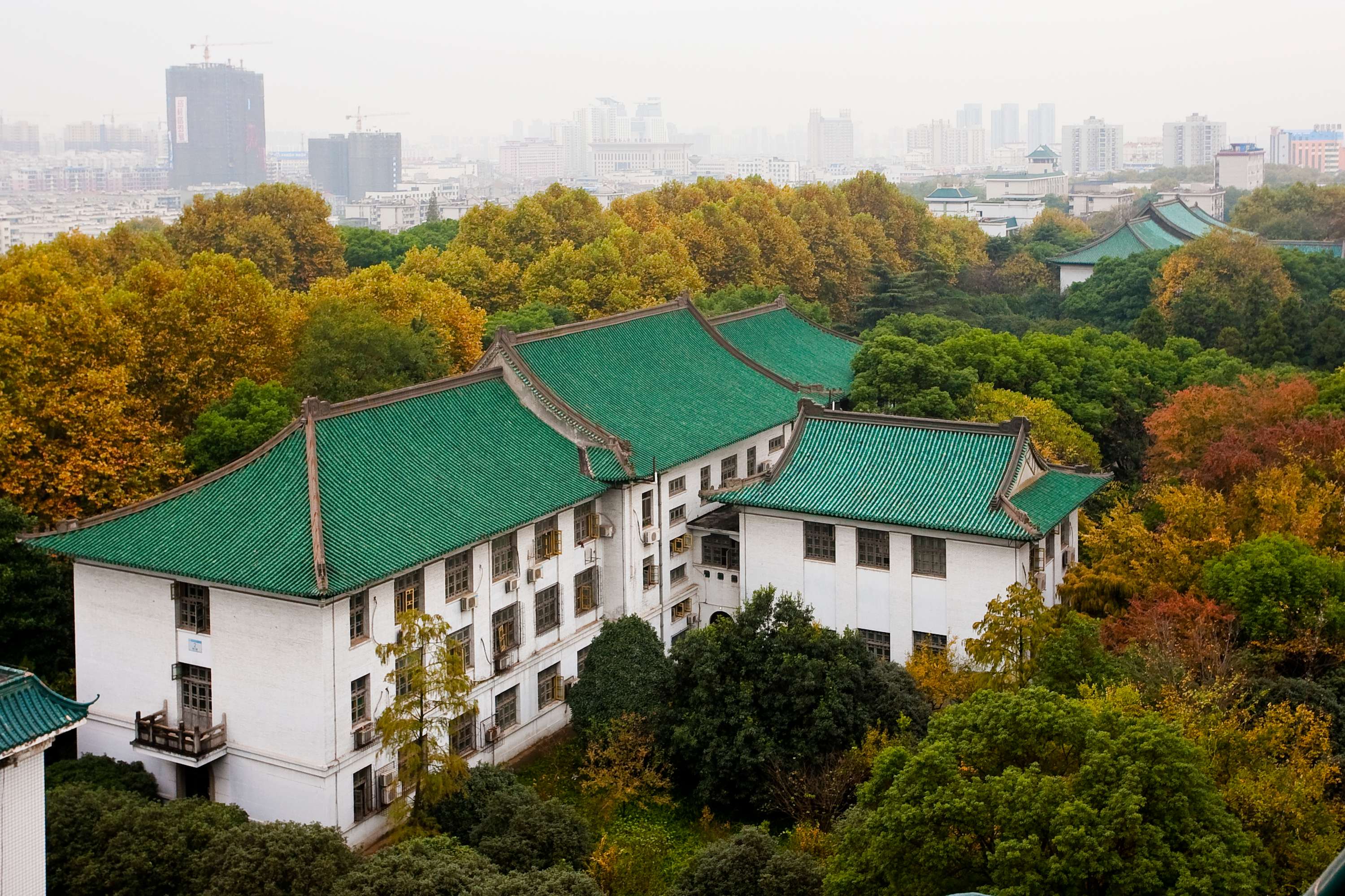 华中师范大学龙岗图片